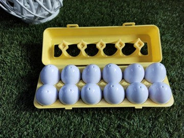 Montessori Geometric Matching Eggs & Dreamy Playful Daisies