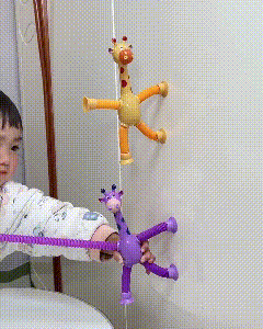 Suction Cup Pop Tube Giraffe Toys-4pcs & Dreamy Playful Daisies